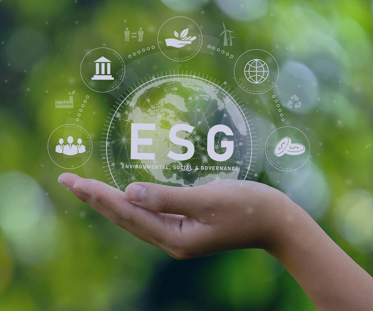 ESG-Services